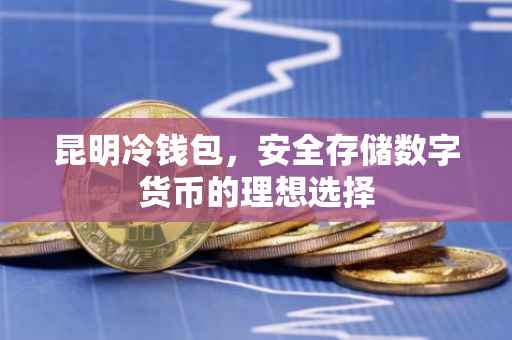 昆明冷钱包，安全存储数字货币的理想选择