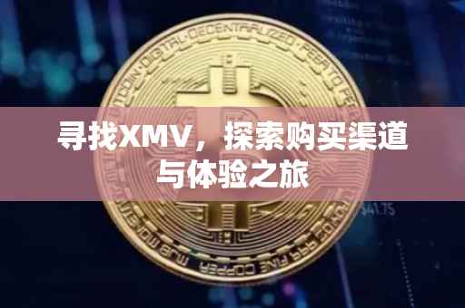 寻找XMV，探索购买渠道与体验之旅