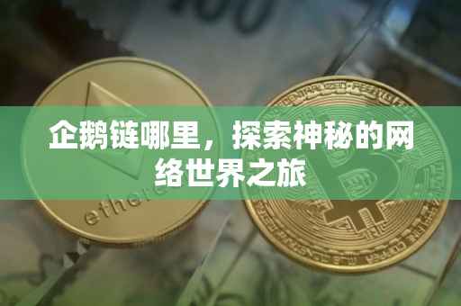 企鹅链哪里，探索神秘的网络世界之旅