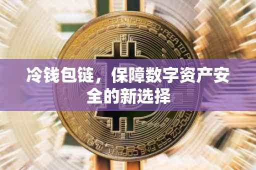 冷钱包链，保障数字资产安全的新选择