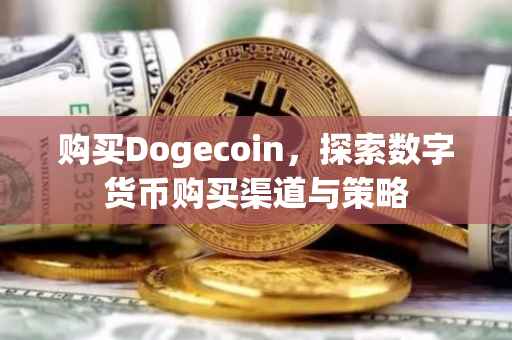 购买Dogecoin，探索数字货币购买渠道与策略