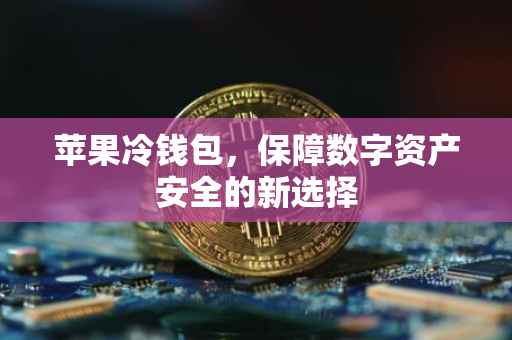 苹果冷钱包，保障数字资产安全的新选择