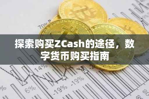 探索购买ZCash的途径，数字货币购买指南