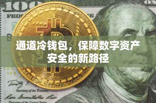 通道冷钱包，保障数字资产安全的新路径