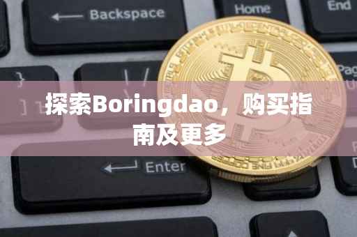 探索Boringdao，购买指南及更多