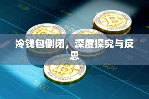 冷钱包倒闭，深度探究与反思