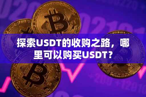 探索USDT的收购之路，哪里可以购买USDT？