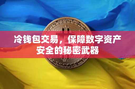 冷钱包交易，保障数字资产安全的秘密武器