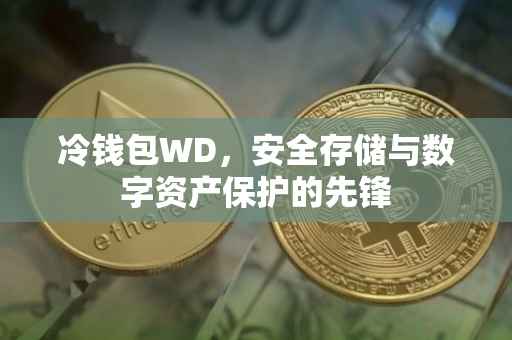 冷钱包WD，安全存储与数字资产保护的先锋