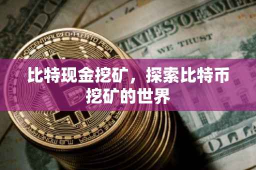 比特现金挖矿，探索比特币挖矿的世界