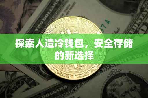 探索人造冷钱包，安全存储的新选择