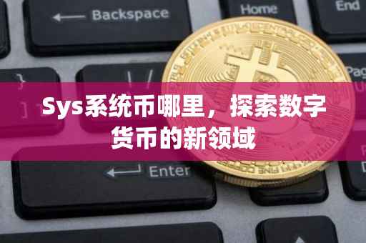Sys系统币哪里，探索数字货币的新领域