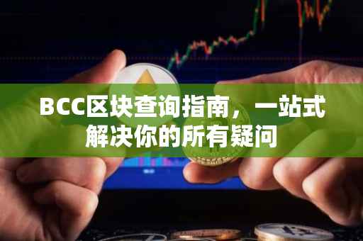 BCC区块查询指南，一站式解决你的所有疑问