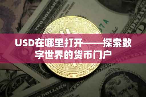 USD在哪里打开——探索数字世界的货币门户