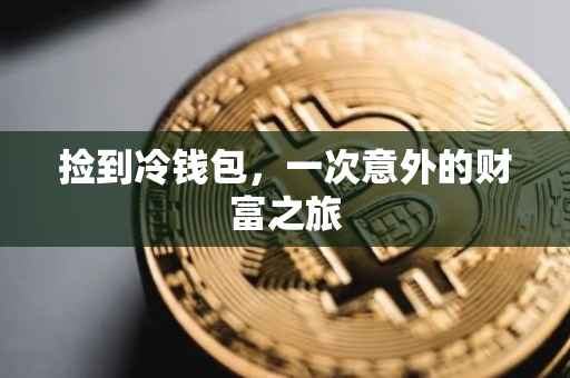 捡到冷钱包，一次意外的财富之旅