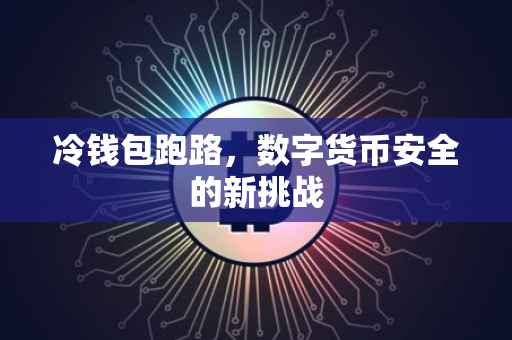 冷钱包跑路，数字货币安全的新挑战