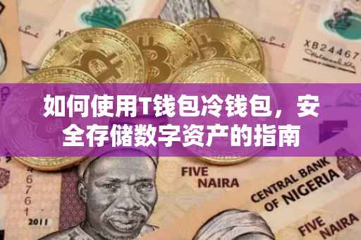 如何使用T钱包冷钱包，安全存储数字资产的指南