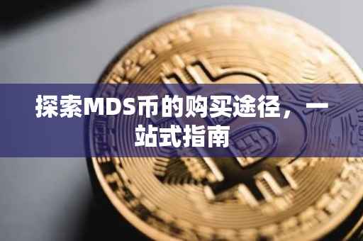 探索MDS币的购买途径，一站式指南
