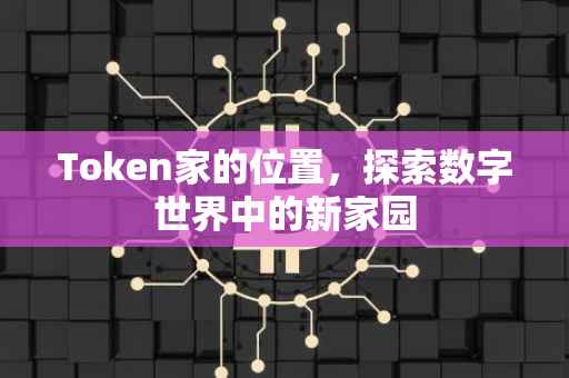 Token家的位置，探索数字世界中的新家园