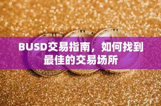 BUSD交易指南，如何找到最佳的交易场所