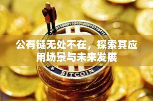 公有链无处不在，探索其应用场景与未来发展