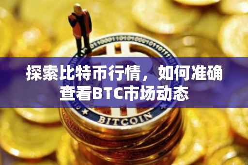 探索比特币行情，如何准确查看BTC市场动态