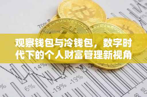 观察钱包与冷钱包，数字时代下的个人财富管理新视角