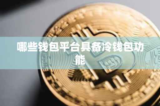 哪些钱包平台具备冷钱包功能
