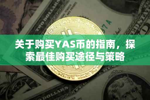 关于购买YAS币的指南，探索最佳购买途径与策略