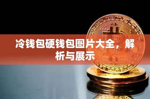冷钱包硬钱包图片大全，解析与展示