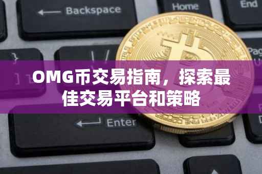 OMG币交易指南，探索最佳交易平台和策略