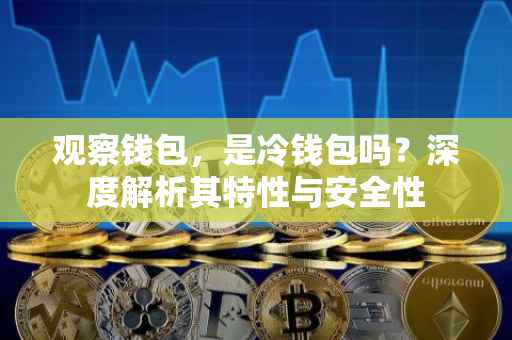 观察钱包，是冷钱包吗？深度解析其特性与安全性