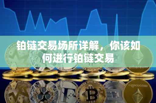 铂链交易场所详解，你该如何进行铂链交易
