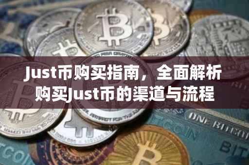 Just币购买指南，全面解析购买Just币的渠道与流程