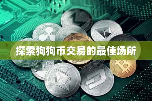 探索狗狗币交易的最佳场所