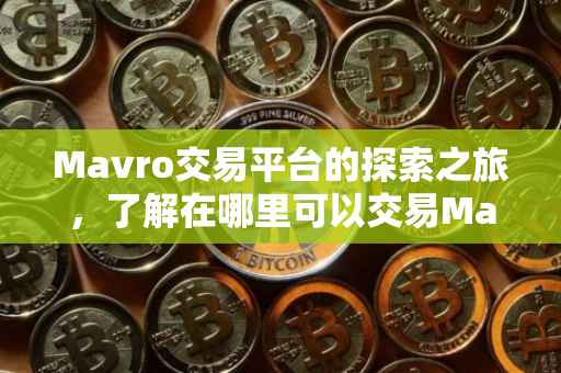 Mavro交易平台的探索之旅，了解在哪里可以交易Mavro
