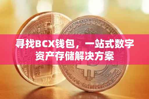 寻找BCX钱包，一站式数字资产存储解决方案