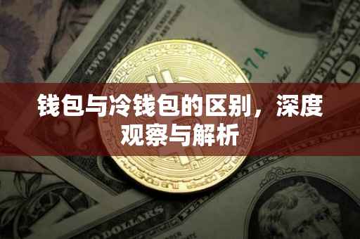 钱包与冷钱包的区别，深度观察与解析