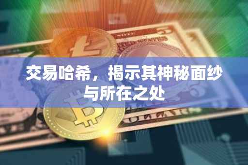 交易哈希，揭示其神秘面纱与所在之处