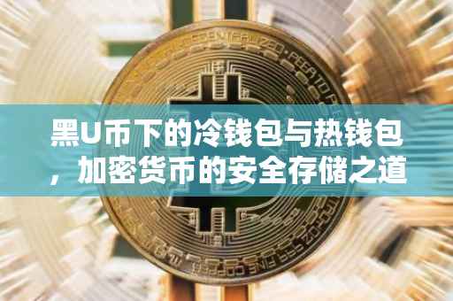 黑U币下的冷钱包与热钱包，加密货币的安全存储之道