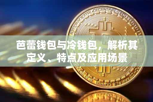 芭蕾钱包与冷钱包，解析其定义、特点及应用场景