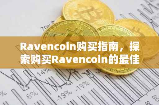 Ravencoin购买指南，探索购买Ravencoin的最佳途径