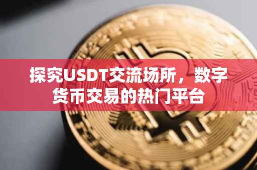 探究USDT交流场所，数字货币交易的热门平台
