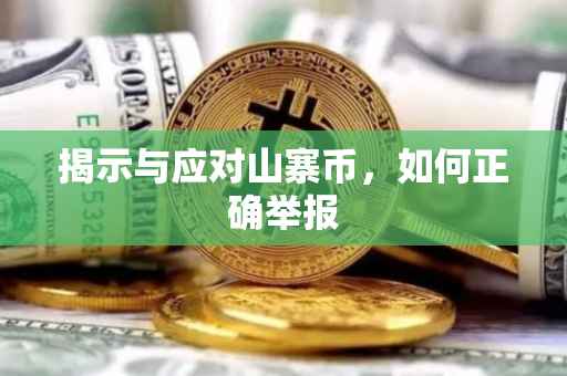 揭示与应对山寨币，如何正确举报