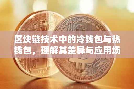 区块链技术中的冷钱包与热钱包，理解其差异与应用场景