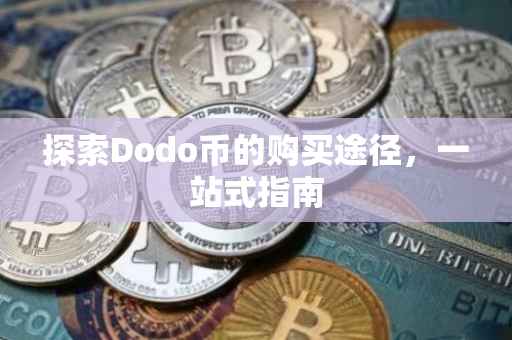 探索Dodo币的购买途径，一站式指南