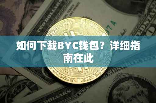 如何下载BYC钱包？详细指南在此