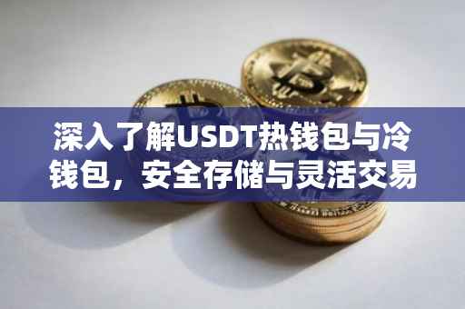 深入了解USDT热钱包与冷钱包，安全存储与灵活交易的平衡点
