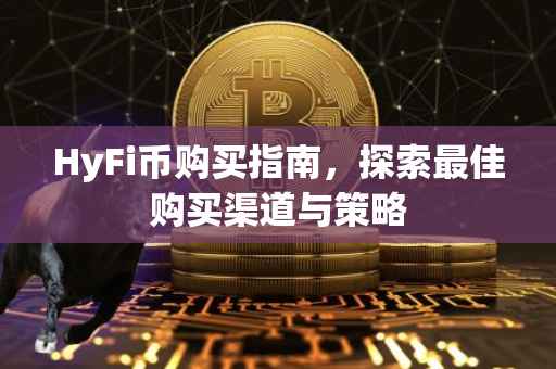 HyFi币购买指南，探索最佳购买渠道与策略