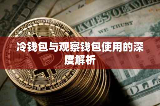 冷钱包与观察钱包使用的深度解析